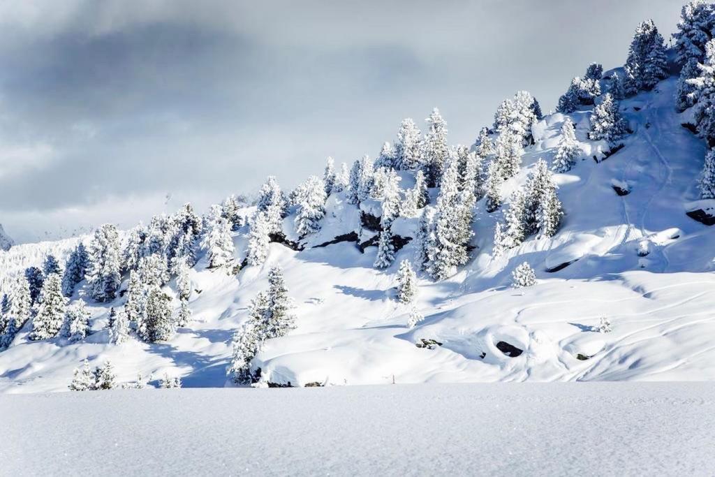 Domaine Du Jardin Alpin Daire Courchevel Dış mekan fotoğraf